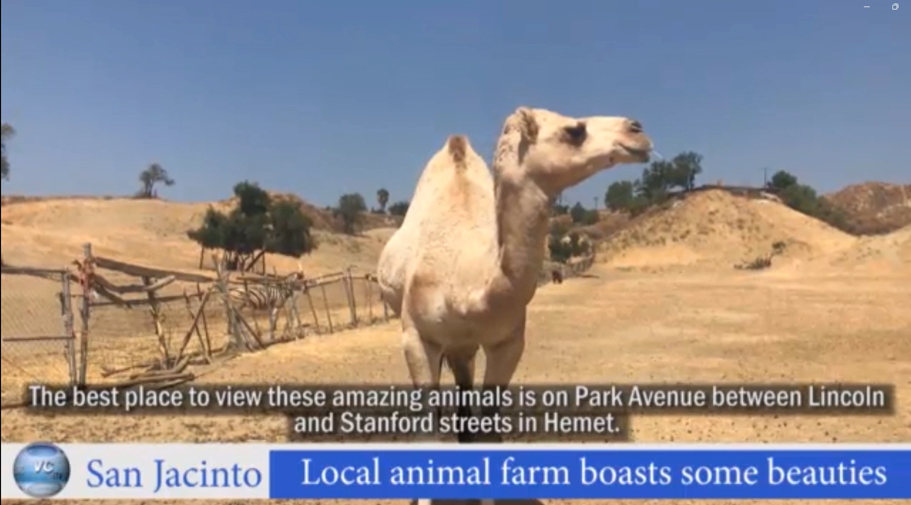 Local animal farm
